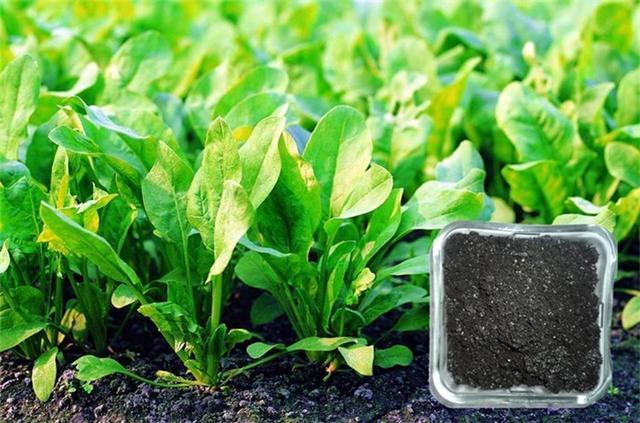 1677741468998553.jpg 1677741468998553.jpg